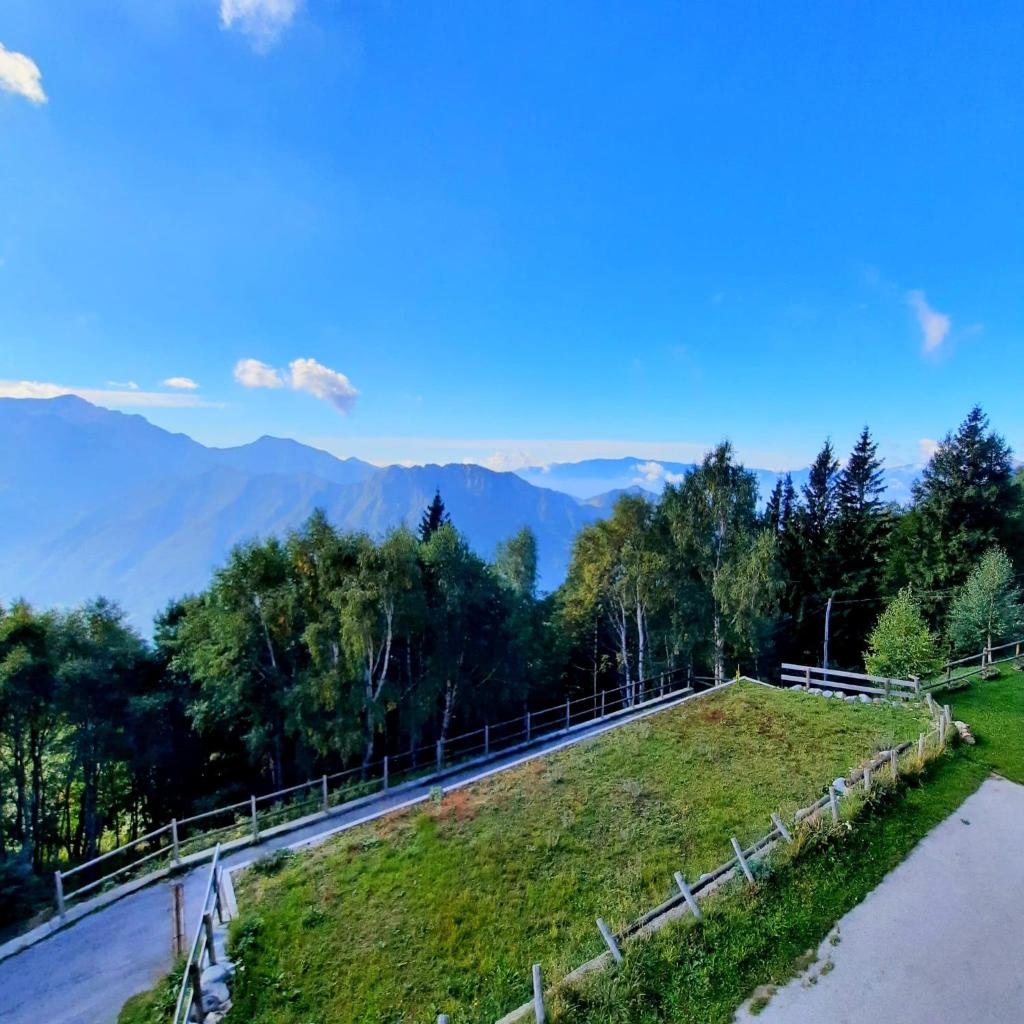 Appartamento Monte Muggio - Your Mountain Holiday photo 4