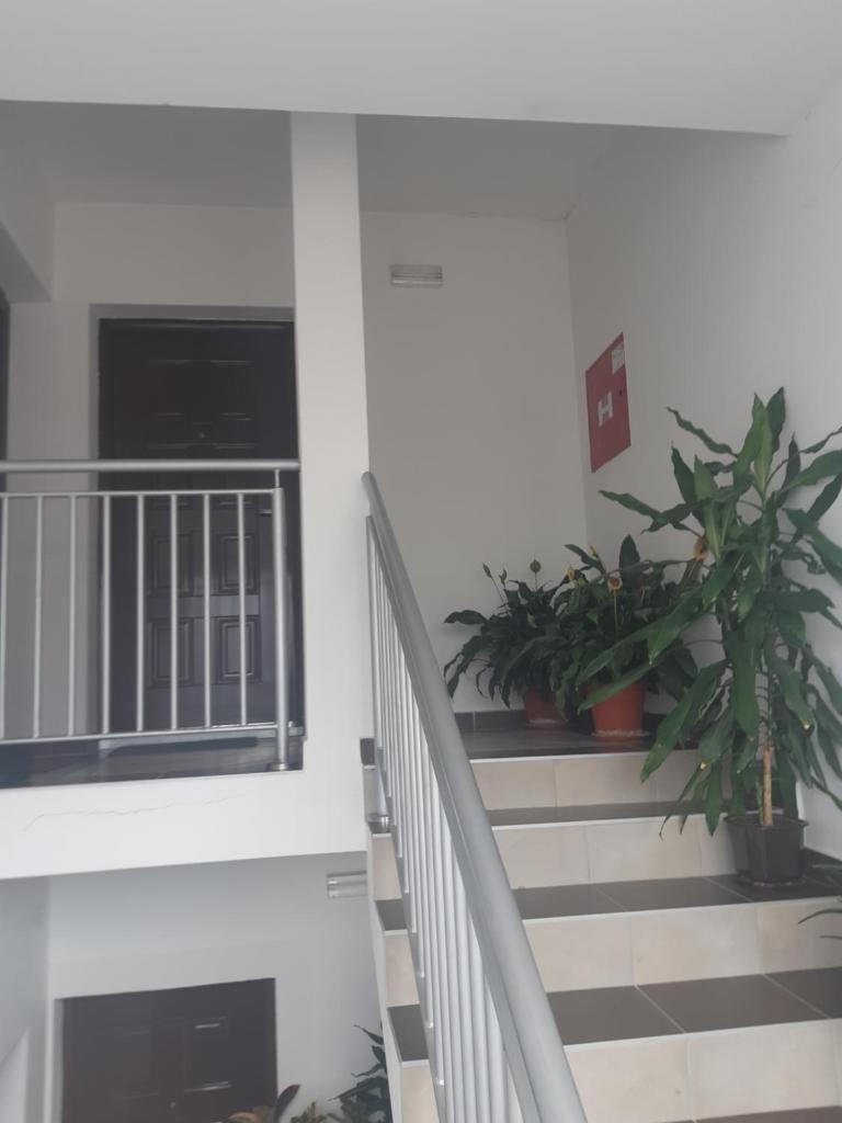 apartman Dani photo 2