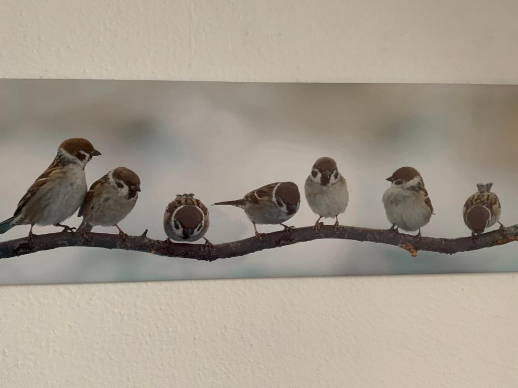 Ferienwohnung Lüttje Hörn photo 3