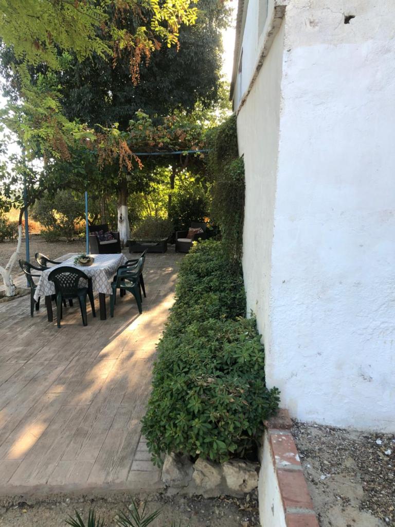 Casa de la vega photo 2