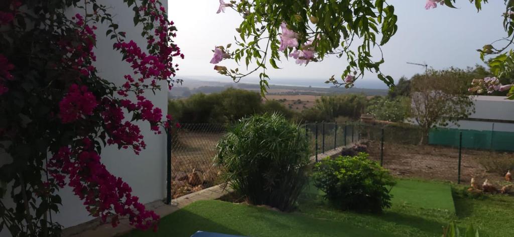 Rancho Blanco Tarifa La peña photo 3