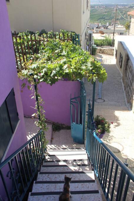 Beit Lila photo 2
