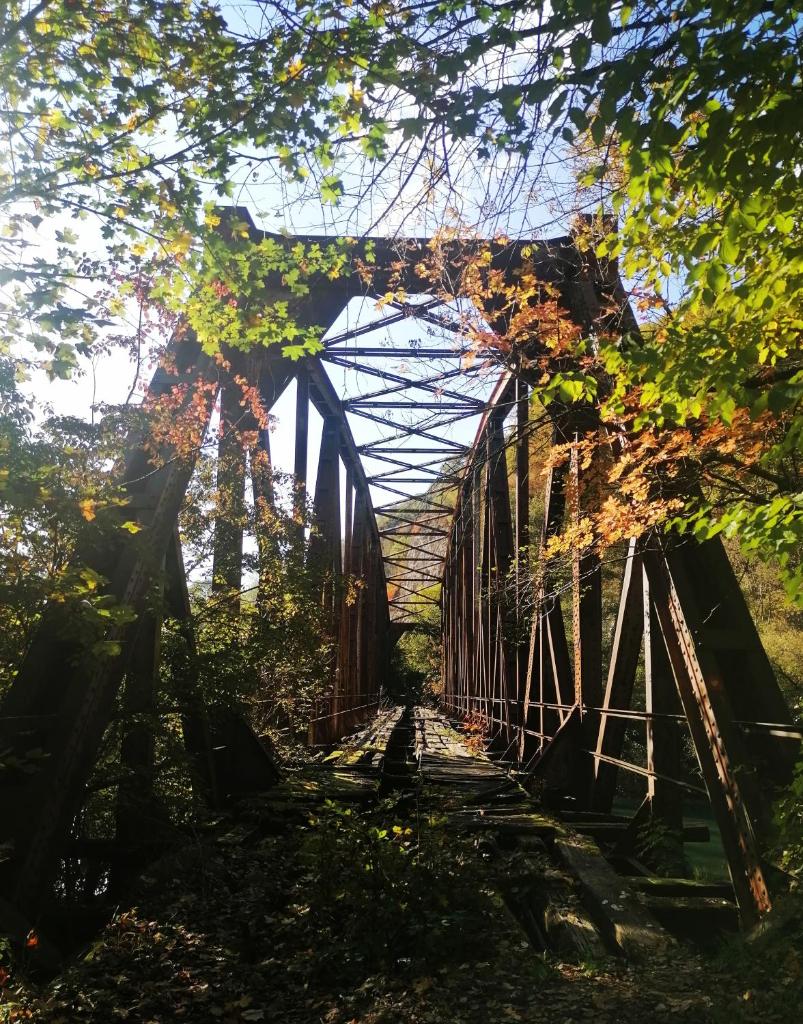 Vikendica,, Tadic,, Ovčar Banja photo 1
