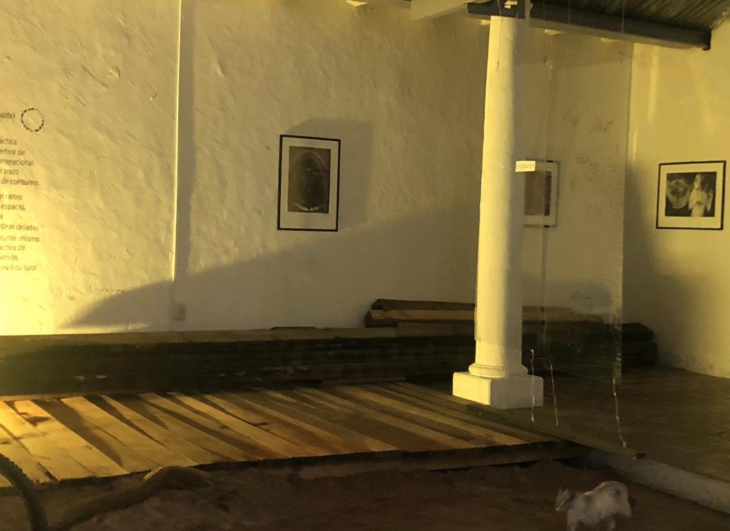 Balsamo Galeria photo 2