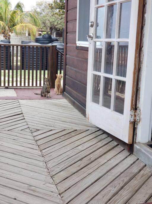 Cozy 2 bedroom beachfront cabin photo 4