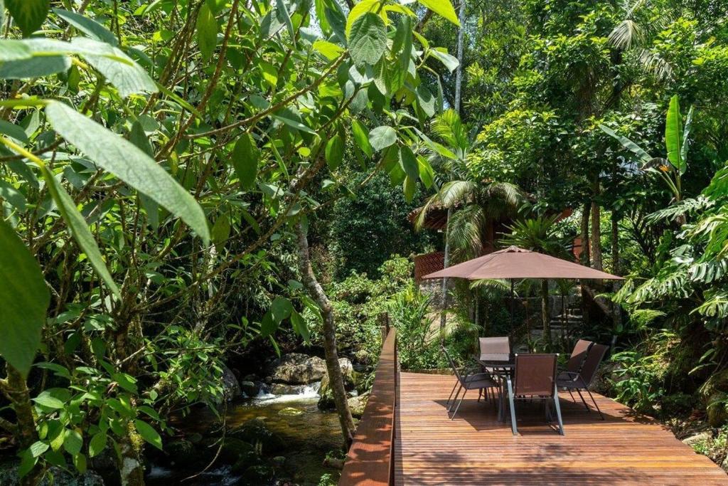 CurtaTere piscina lareira pet friendly jardim photo 1