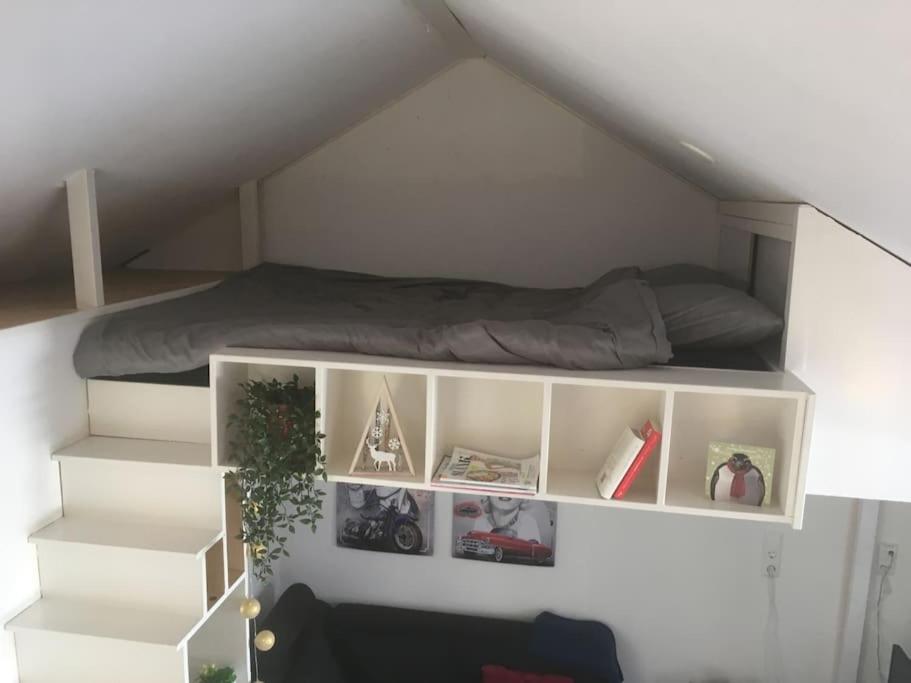 Studio, 21 minutes by bus to downtown Amsterdam photo 2