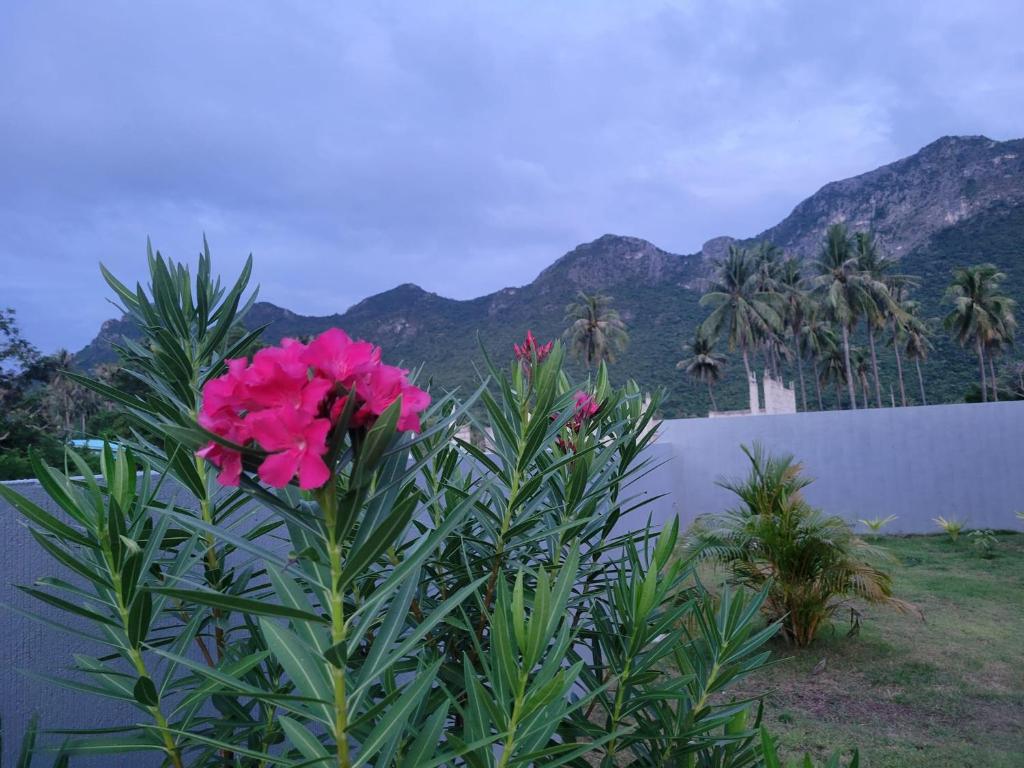 บ้านชายเขาพลูวิลล่า by RC Mountain Pool Villa photo 4