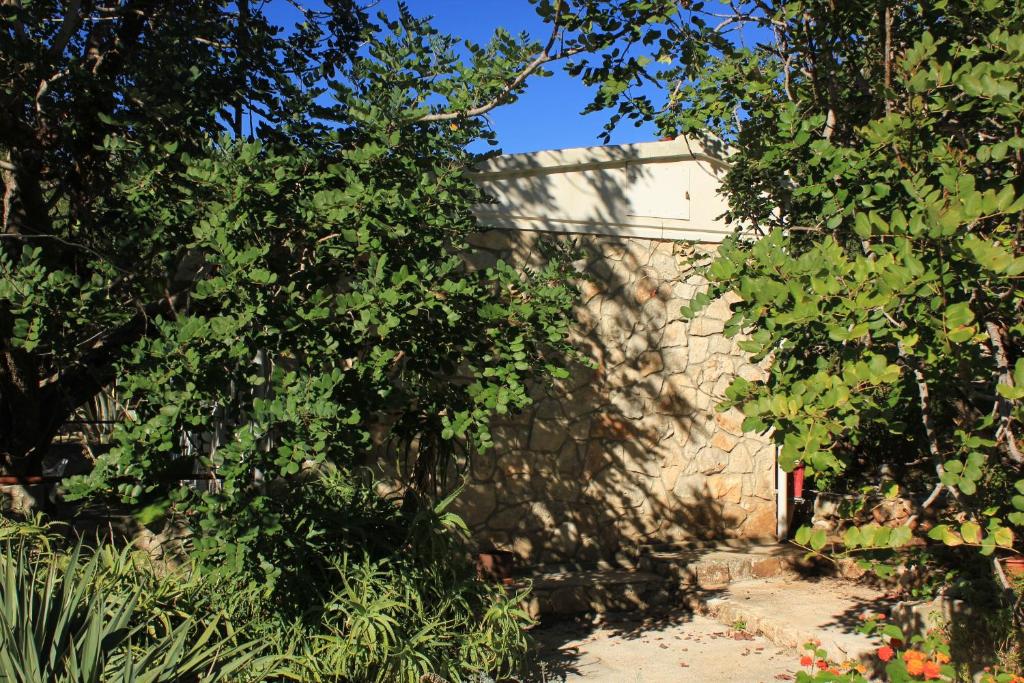 Seaside holiday house Cove Rogacic, Vis - 8887 photo 2