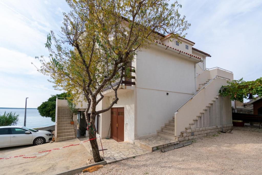 Apartment Mandre 4101a photo 2