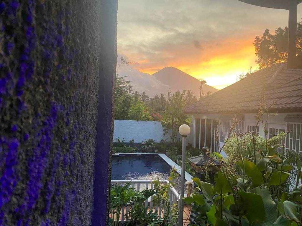 BALI AMED FEEL HOME VILLA photo 1