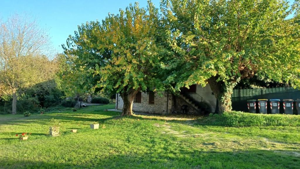 Agriturismo Canonici photo 4