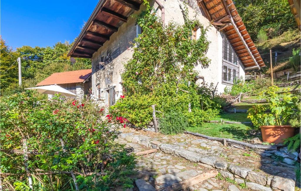 Cottage Ginestre photo 3