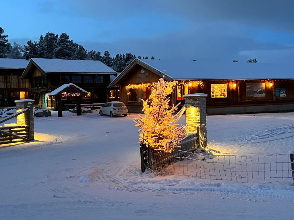 Måsåplassen Friisvegen Mountain Lodge photo 2