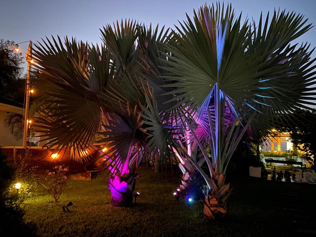 Paraiso Rainforest and Beach Hotel photo 1