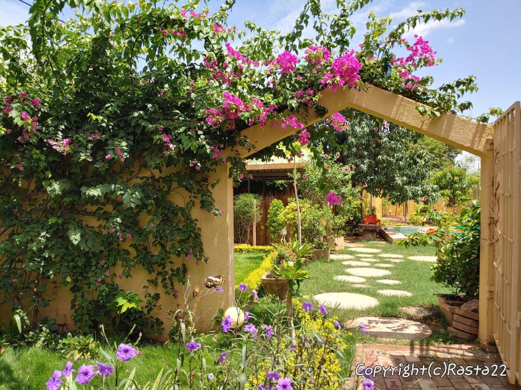 Résidence des hibiscus-roses: jardin, piscine... photo 2