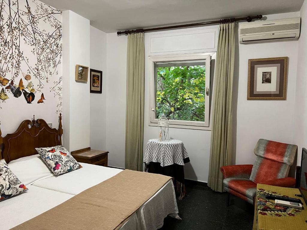 Hostal Pirineos photo 3