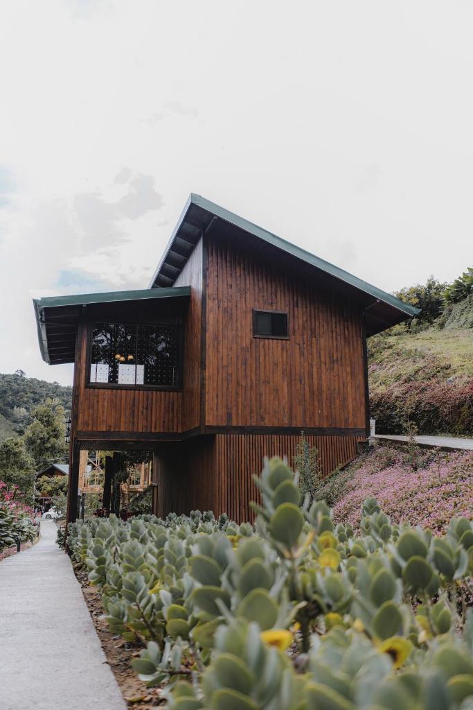 Lauraceas Lodge