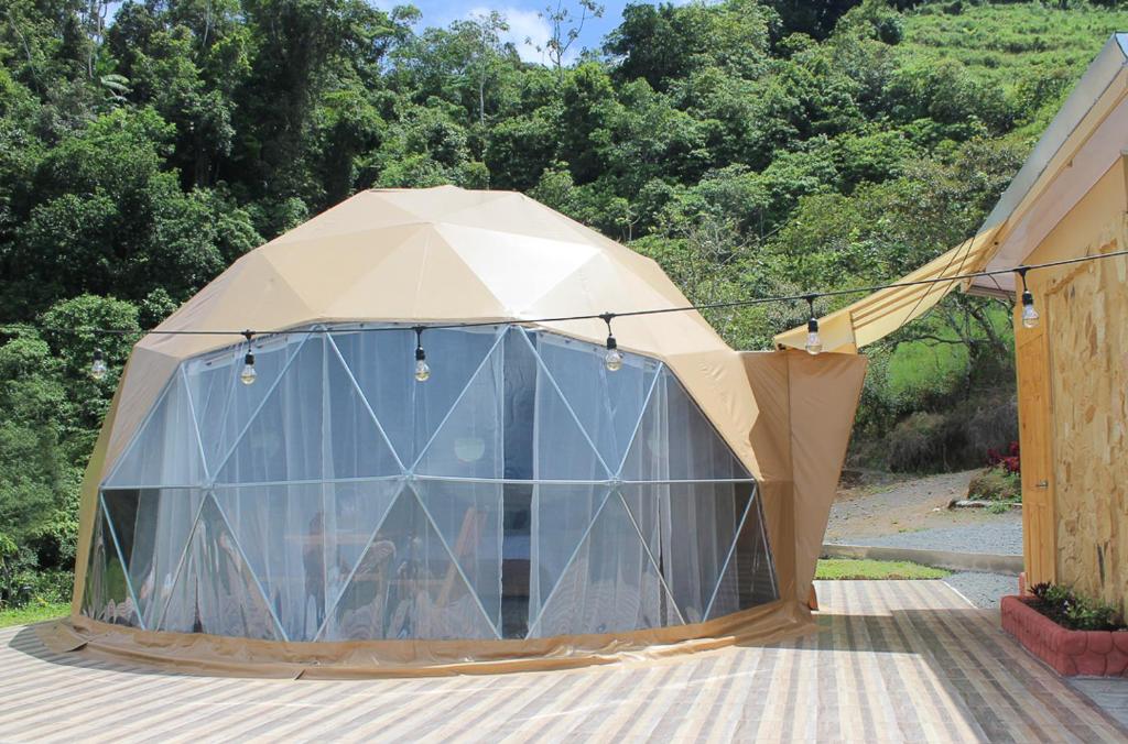 Las Colinas Glamping photo 4