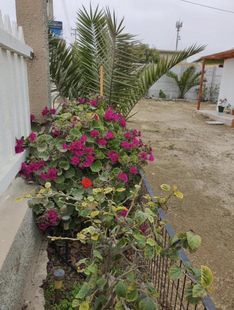 Casa Quelita photo 4