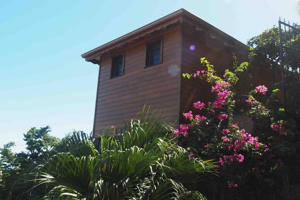 Papaye Lodge sur les flancs des Monts Caraïbes photo 1