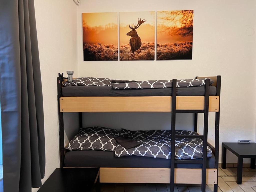 Möblierte 1-Zimmer Wohnung im Zentrum Ottersbergs für Monteure und geschäftlich Reisende photo 1
