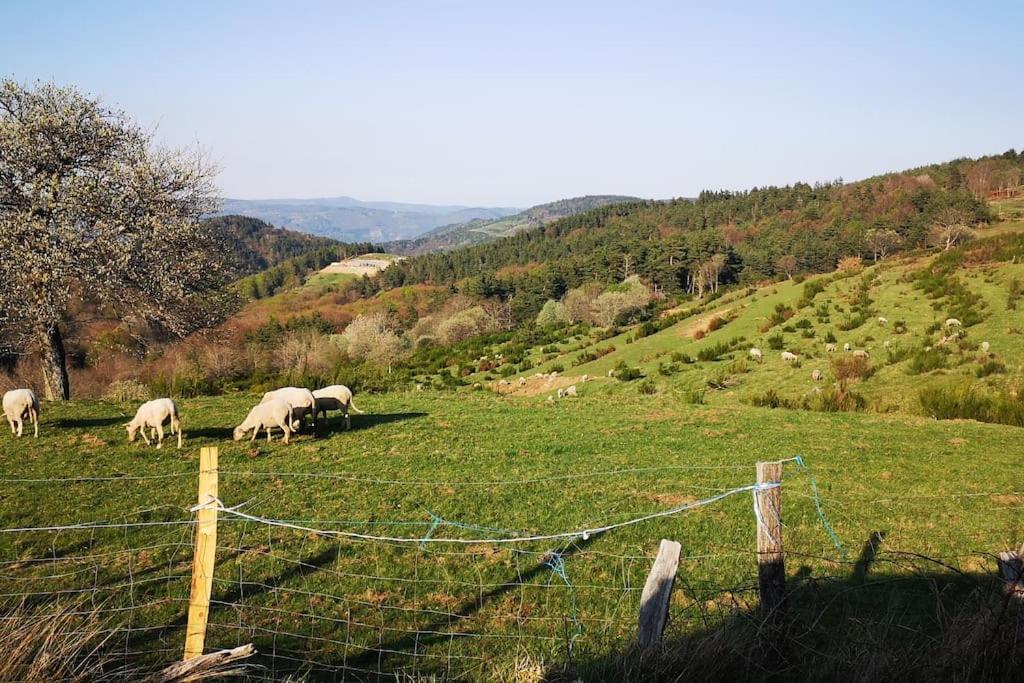 MARCOL' ANGE DEMEURE EN ARDECHE photo 1