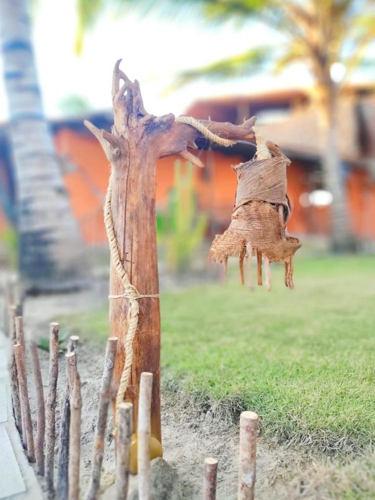 Pousada Kite Guajiru photo 3