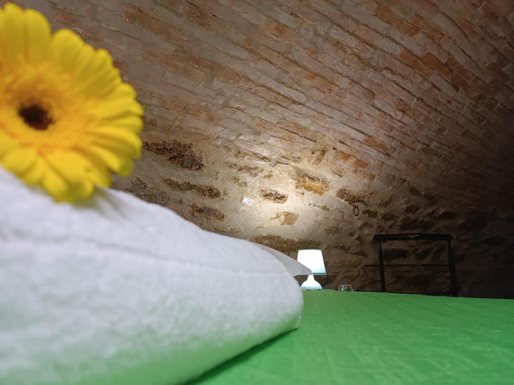 Matalena photo 3