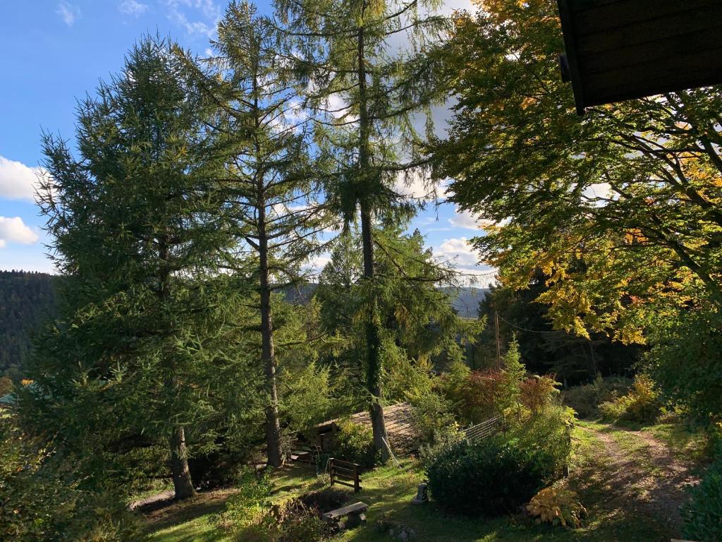 Chalet « à l’orée du bois » photo 4