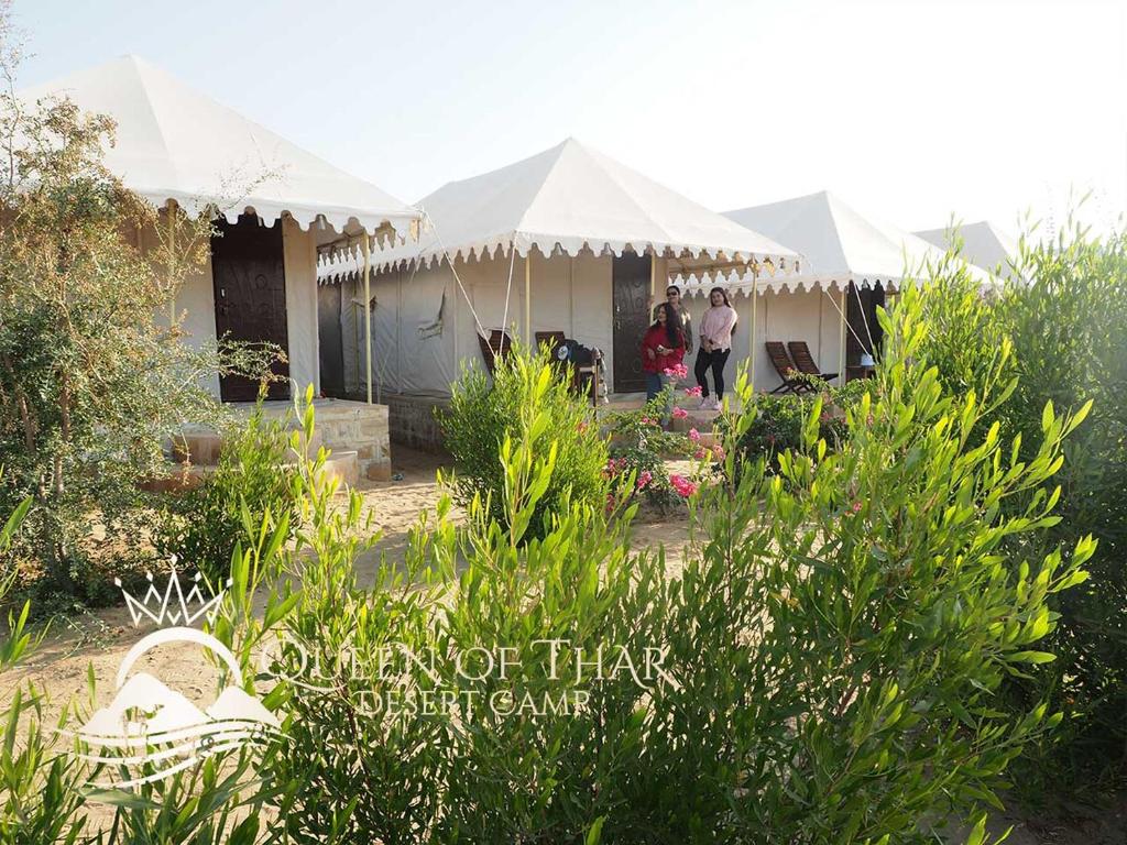 Queen of Thar Desert Camp photo 3