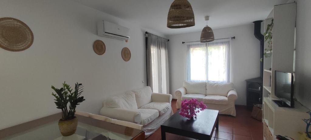 PiedraNegra, apartamento completo con patio, terraza y BBQ photo 3