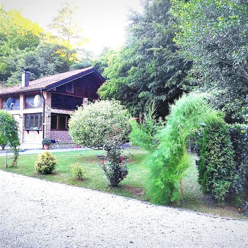Villa FORESTA photo 2