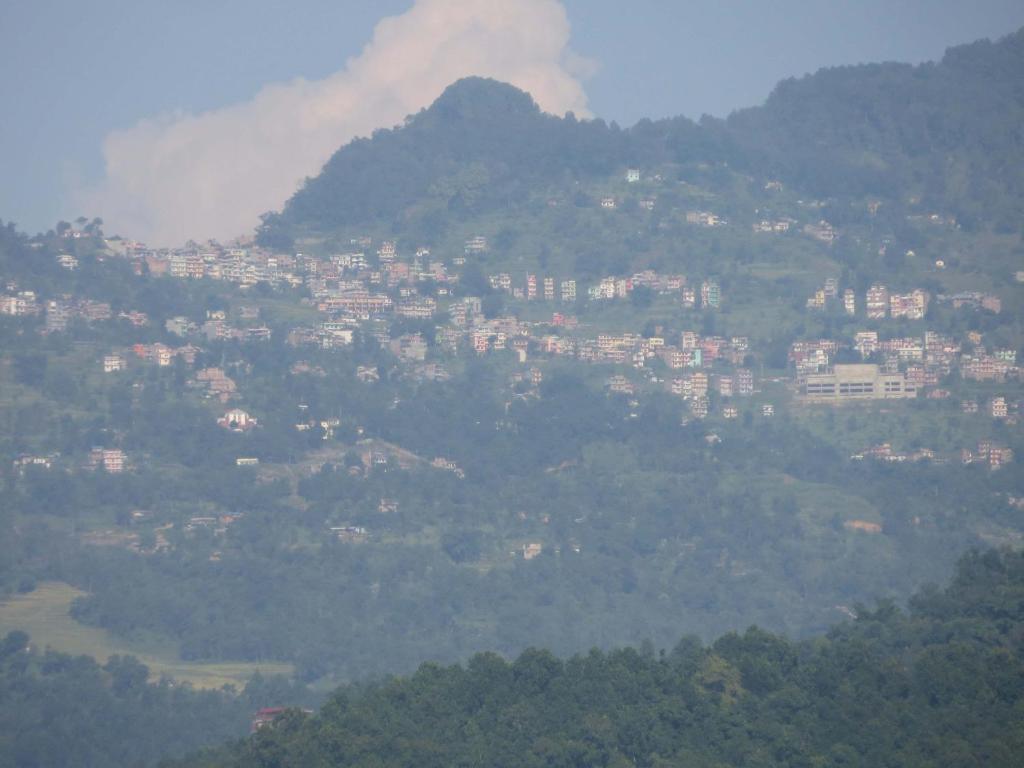 Gorkha Organic Agro Farm photo 3