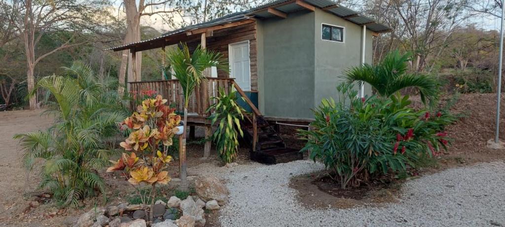 Blue Parrot Cabinas photo 2