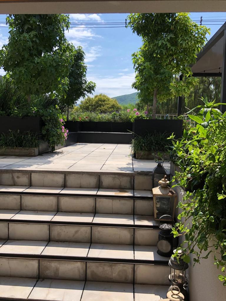 Terraza 20