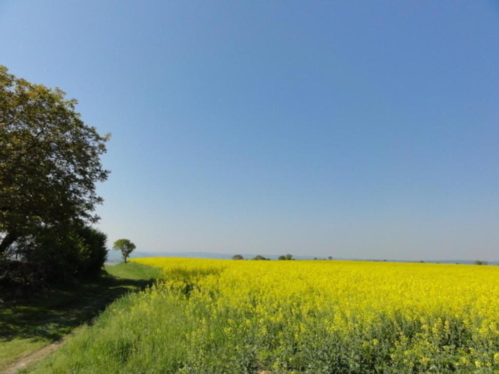 Gîte Charroux - Allier, 4 pièces, 7 personnes - FR-1-489-271 photo 3