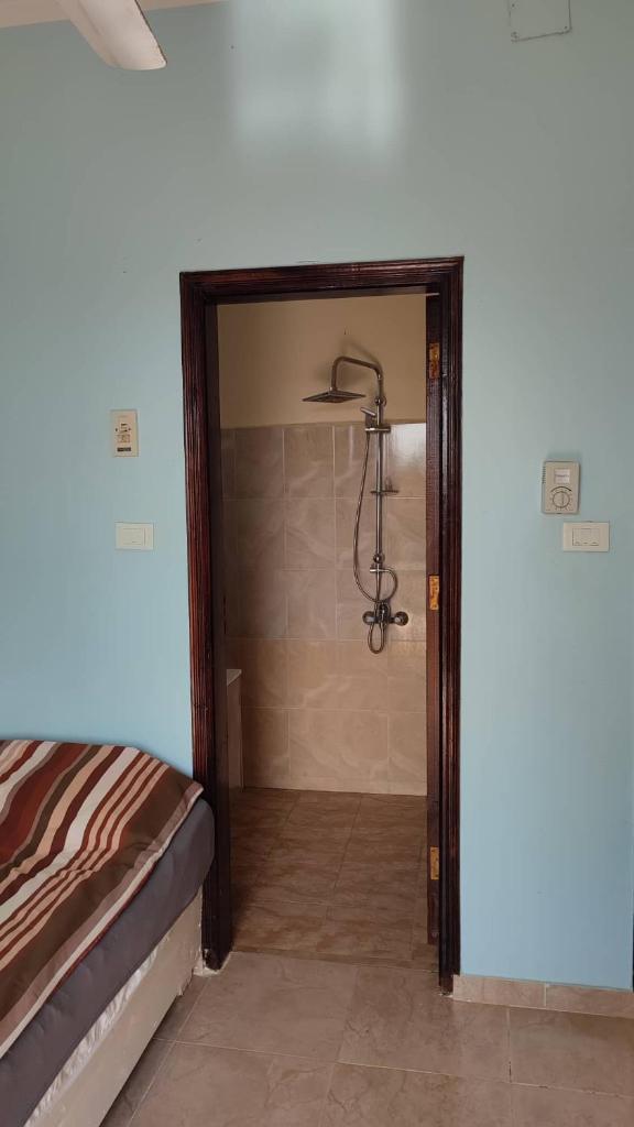 Friendly home photo 1