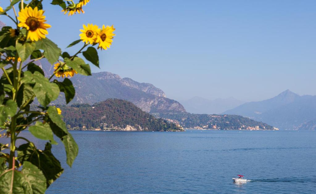 Appartamento Sosta sul Lago photo 3