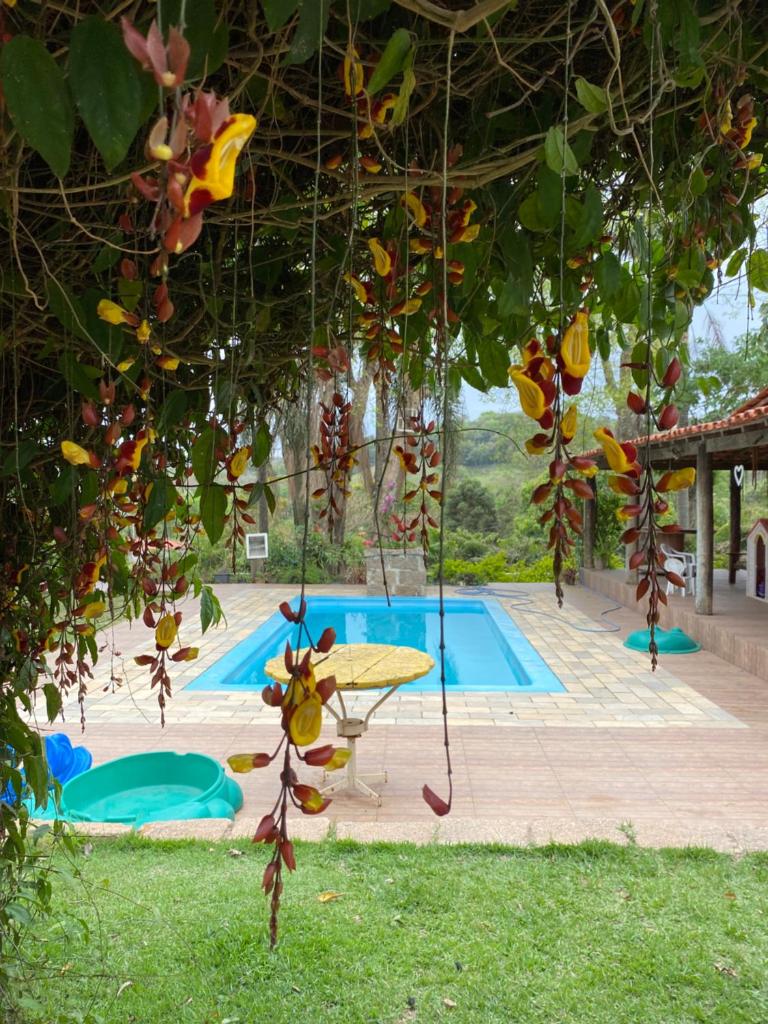 CHÁCARA GODOI - Meu Paraíso photo 4