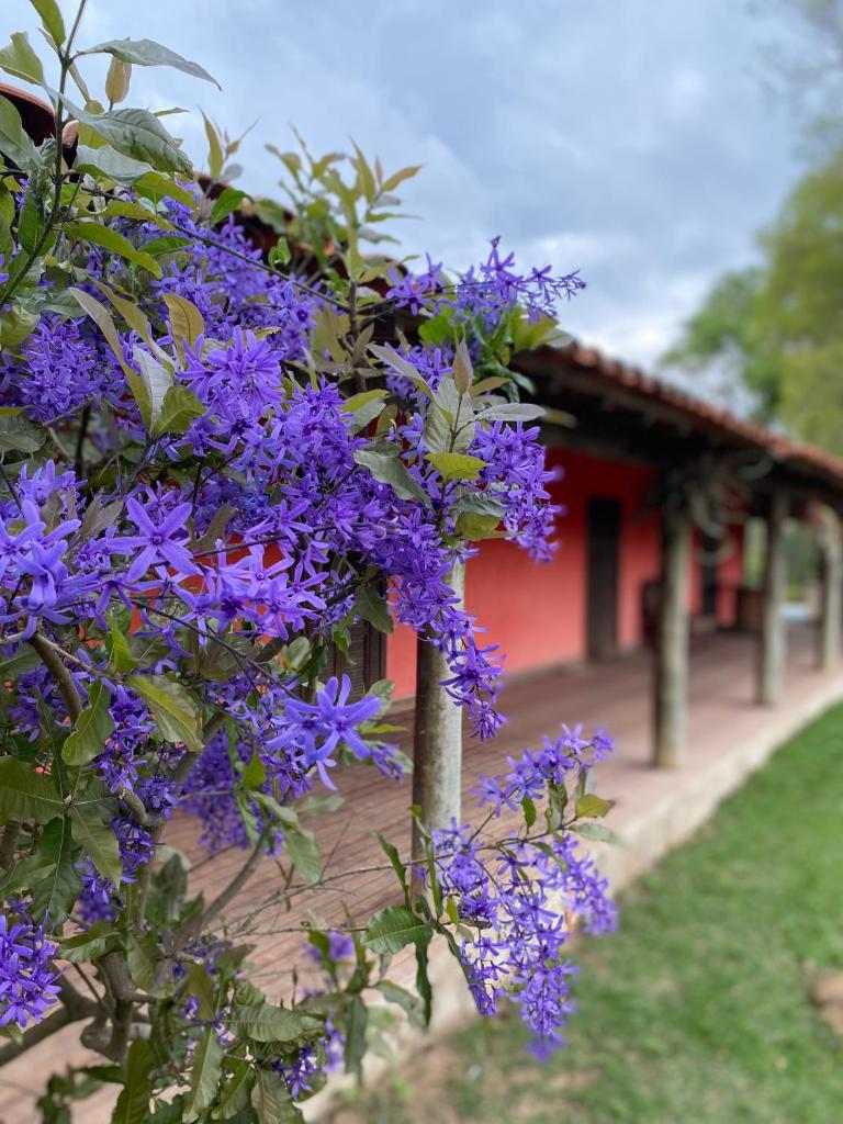 CHÁCARA GODOI - Meu Paraíso photo 2
