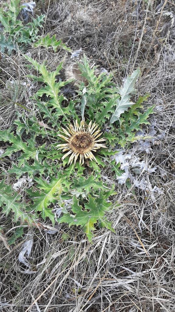 Un balcon entre Causses et Rougiers photo 3