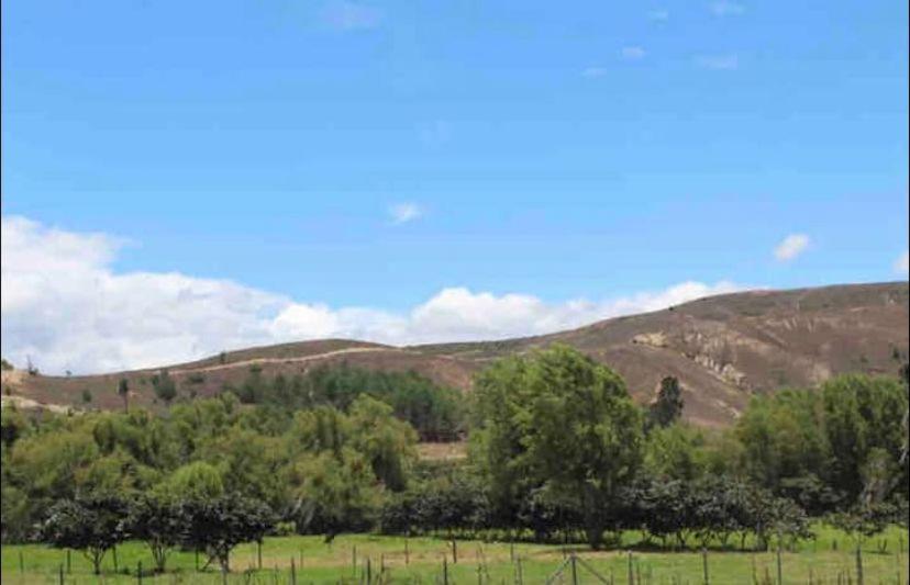 Santa Ana Campestre photo 1
