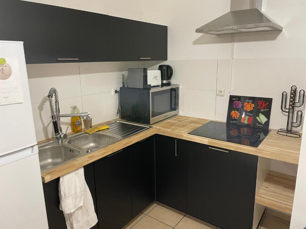 Nouveauté - L'Oasis - T3 - 70 M2 - Jacuzzi photo 3