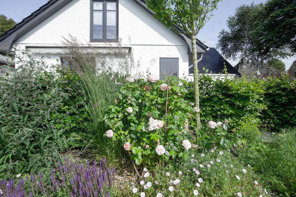 Friesische Wohnstube Pesel - Ferienwohnung photo 1