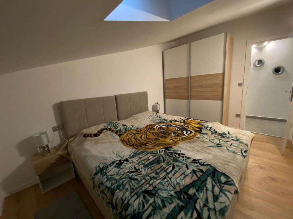 Apartments Dragica photo 1