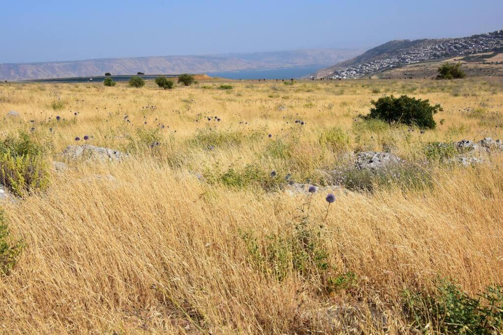 Sea of Galilee Tiberius apartment with panoramic sea view photo 3