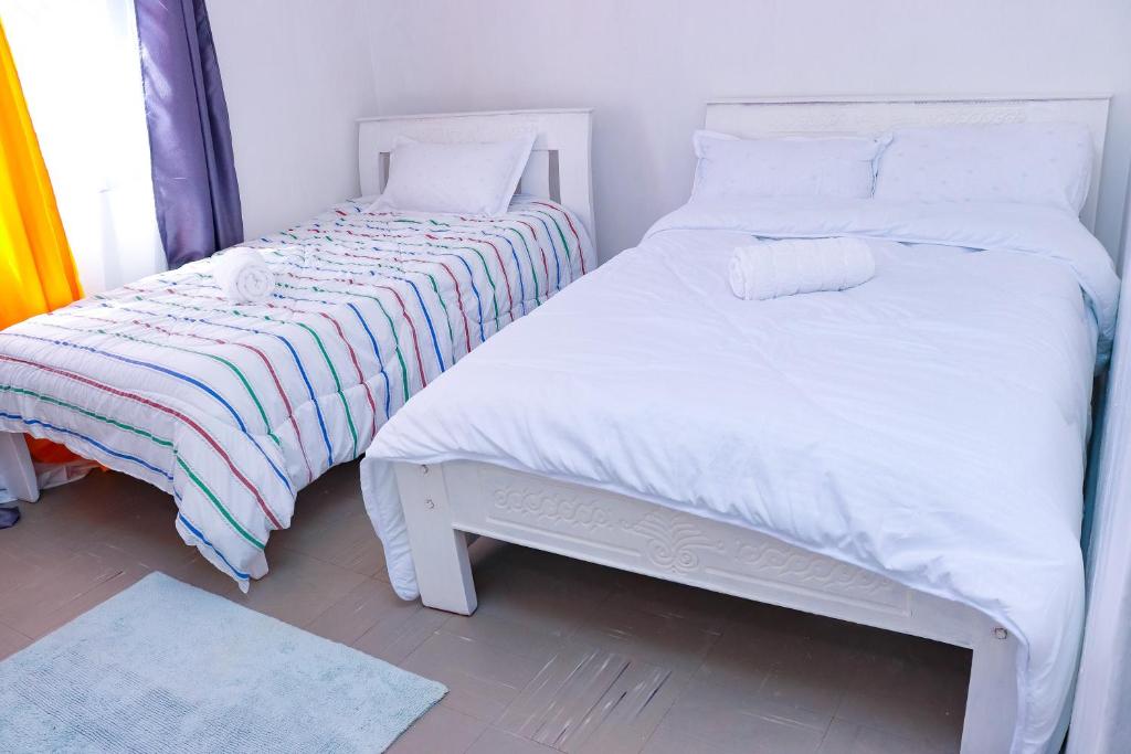 Homely Homestays photo 1