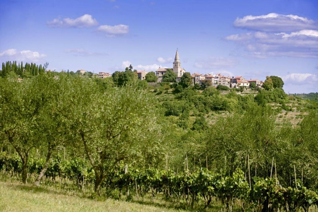 Funtana in Grožnjan (Haus für 2-3 Personen) photo 1