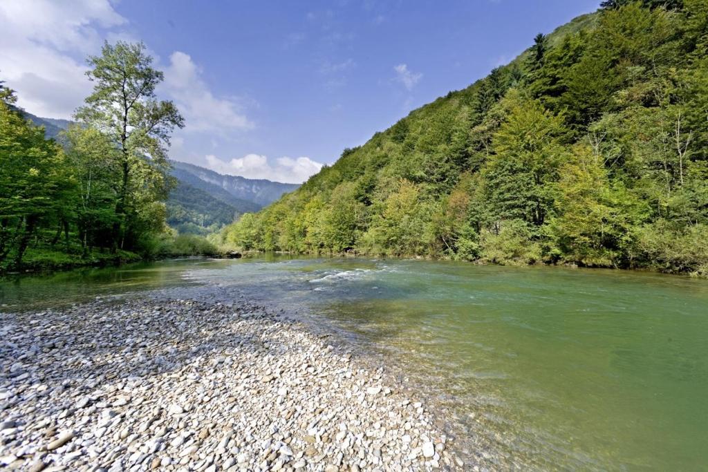 Osmak in Gusti Laz (Haus für 4 Personen) photo 4